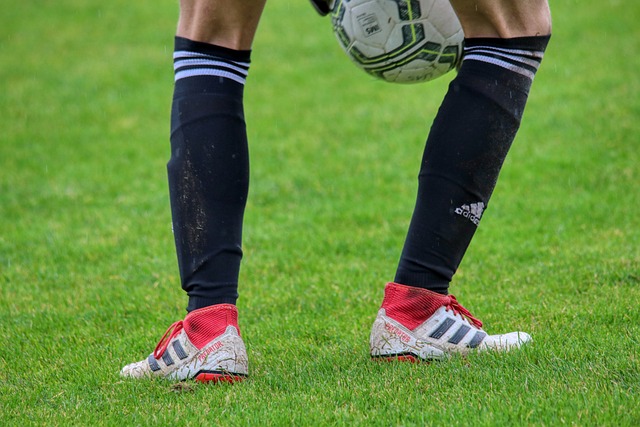 本场逆转不 本场逆转不