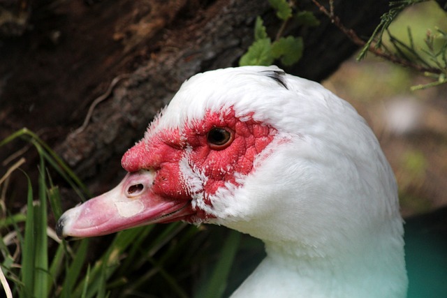 因为没有失 因为没有失