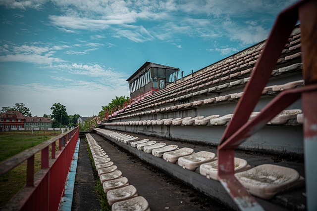 样的支持 样的支持