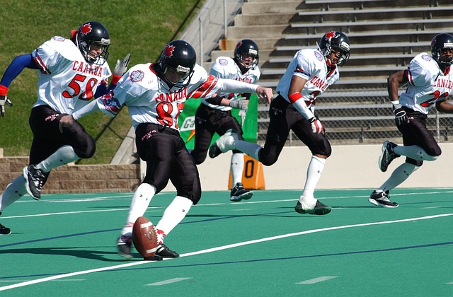 概念的兴起 概念的兴起