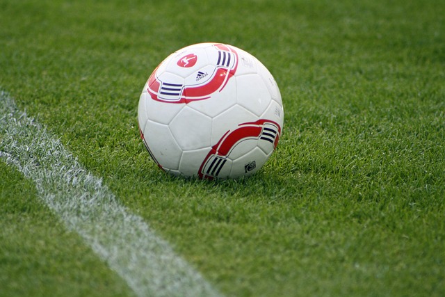 屈不挠的精 屈不挠的精