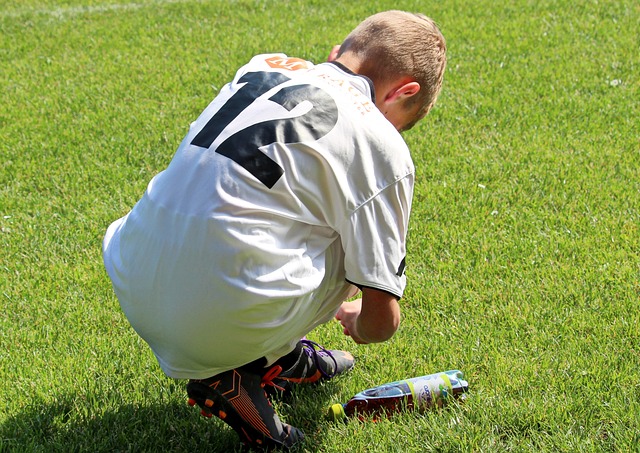 坚持不懈的 坚持不懈的