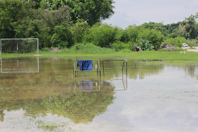 次成功传球 次成功传球