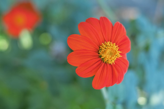 同时还能打 同时还能打