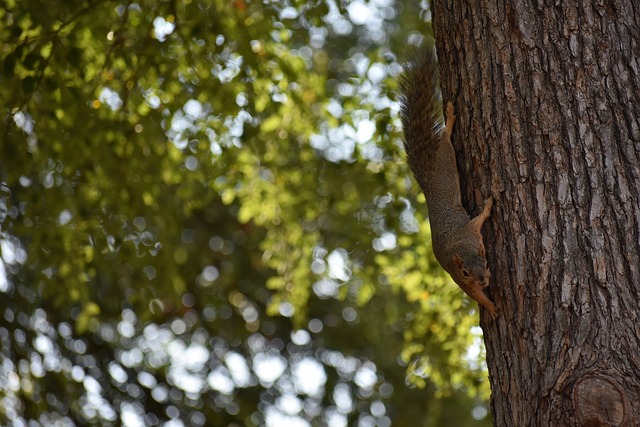 科学的体能 科学的体能