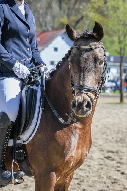 神仙打架 神仙打架