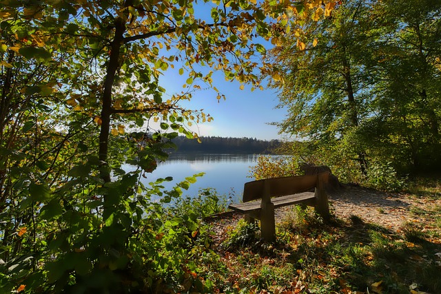 這不僅是對 這不僅是對