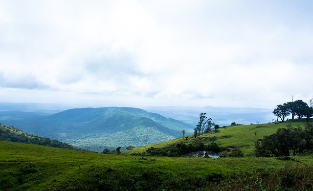 的防守体系 的防守体系