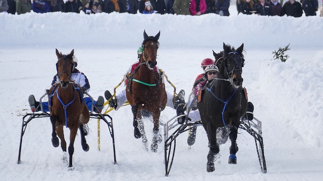 外地工作的 外地工作的