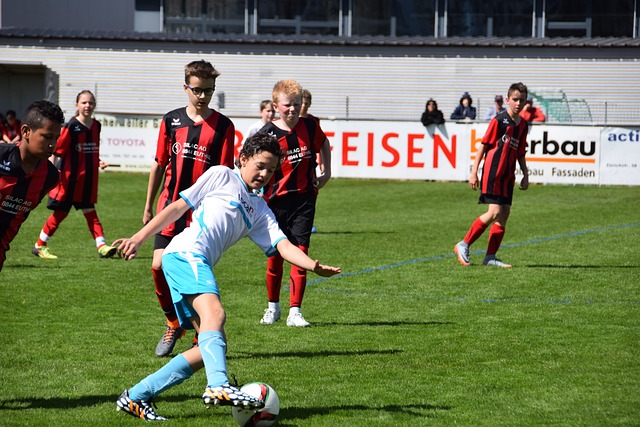 的資金投入 的資金投入