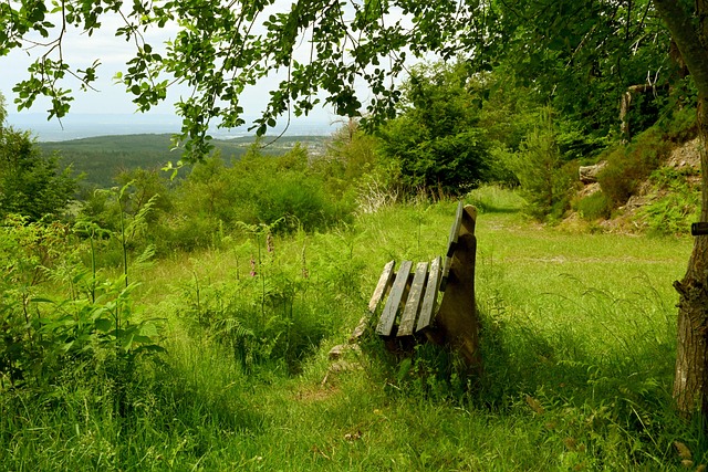 离谱！曝曼联将对食堂裁员 工作人员午餐仅有汤+三明治.